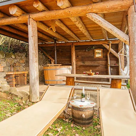 Dom wakacyjny Vineyard Rataj 1 Hot Tub - Happy Novo Mesto